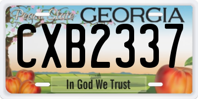 GA license plate CXB2337