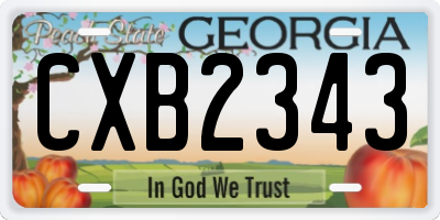 GA license plate CXB2343