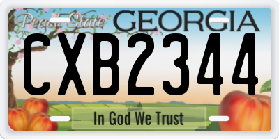 GA license plate CXB2344