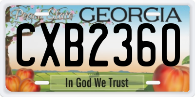 GA license plate CXB2360