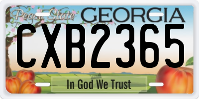 GA license plate CXB2365