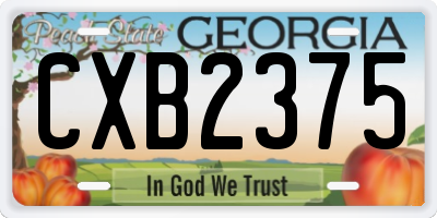 GA license plate CXB2375