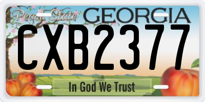 GA license plate CXB2377