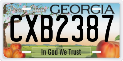 GA license plate CXB2387