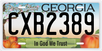 GA license plate CXB2389