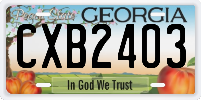 GA license plate CXB2403