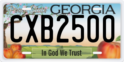 GA license plate CXB2500