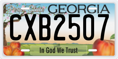 GA license plate CXB2507