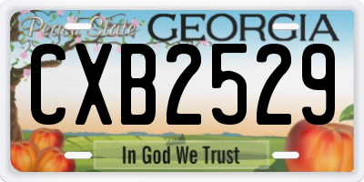 GA license plate CXB2529