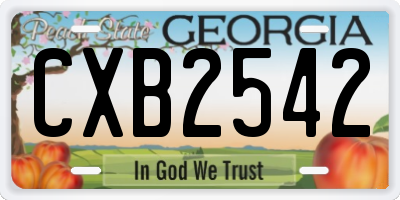 GA license plate CXB2542