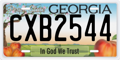 GA license plate CXB2544
