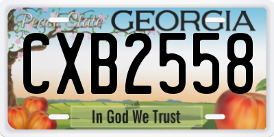 GA license plate CXB2558