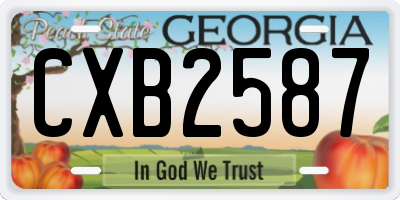 GA license plate CXB2587