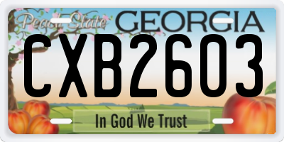 GA license plate CXB2603