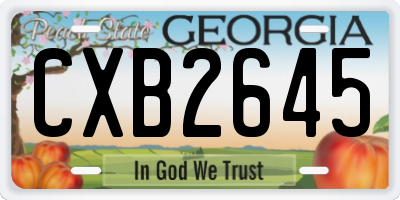 GA license plate CXB2645