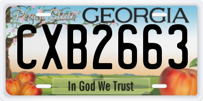 GA license plate CXB2663