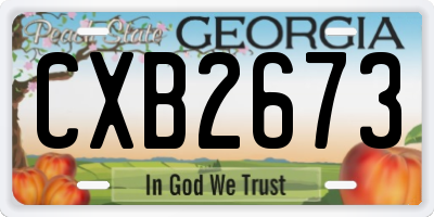 GA license plate CXB2673