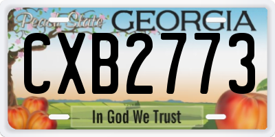 GA license plate CXB2773