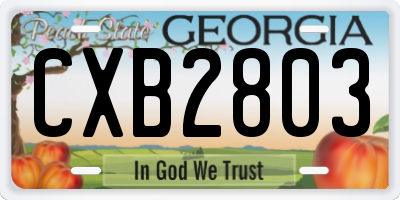 GA license plate CXB2803