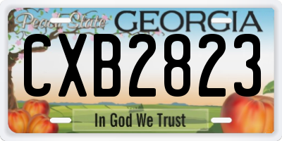 GA license plate CXB2823