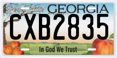 GA license plate CXB2835