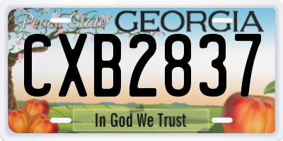 GA license plate CXB2837