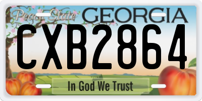 GA license plate CXB2864