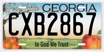 GA license plate CXB2867