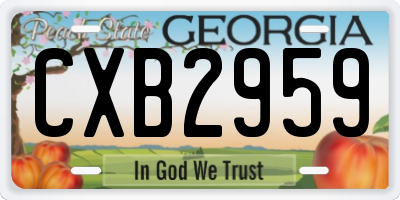 GA license plate CXB2959