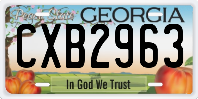 GA license plate CXB2963