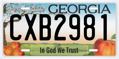 GA license plate CXB2981
