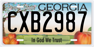 GA license plate CXB2987