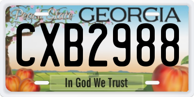 GA license plate CXB2988