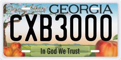 GA license plate CXB3000