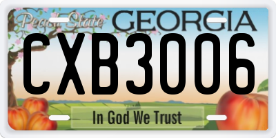 GA license plate CXB3006