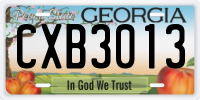 GA license plate CXB3013