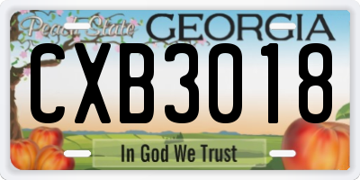 GA license plate CXB3018
