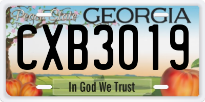 GA license plate CXB3019