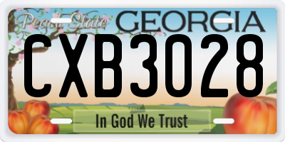 GA license plate CXB3028
