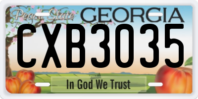 GA license plate CXB3035