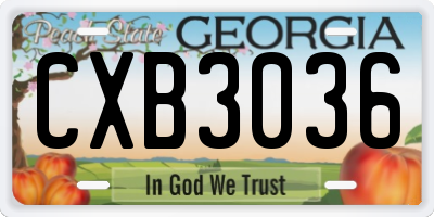 GA license plate CXB3036