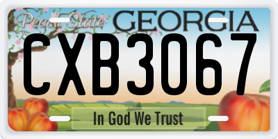 GA license plate CXB3067