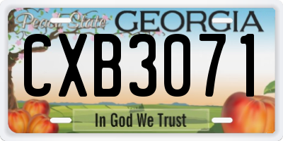 GA license plate CXB3071