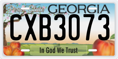GA license plate CXB3073