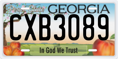 GA license plate CXB3089