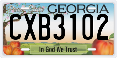 GA license plate CXB3102