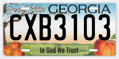 GA license plate CXB3103