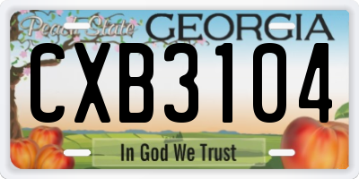 GA license plate CXB3104