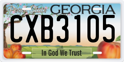 GA license plate CXB3105