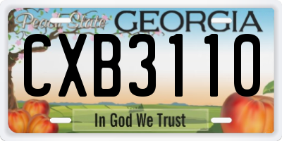 GA license plate CXB3110